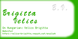 brigitta velics business card